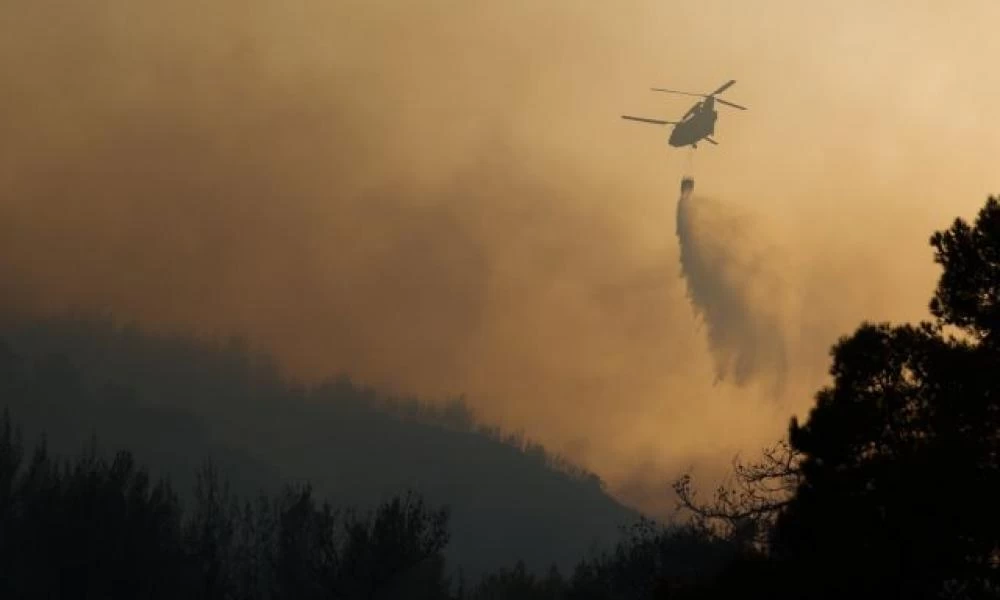 Αποκαλυπτική έκθεση για το φετινό καταστροφικό καλοκαίρι από τις δασικές πυρκαγιές